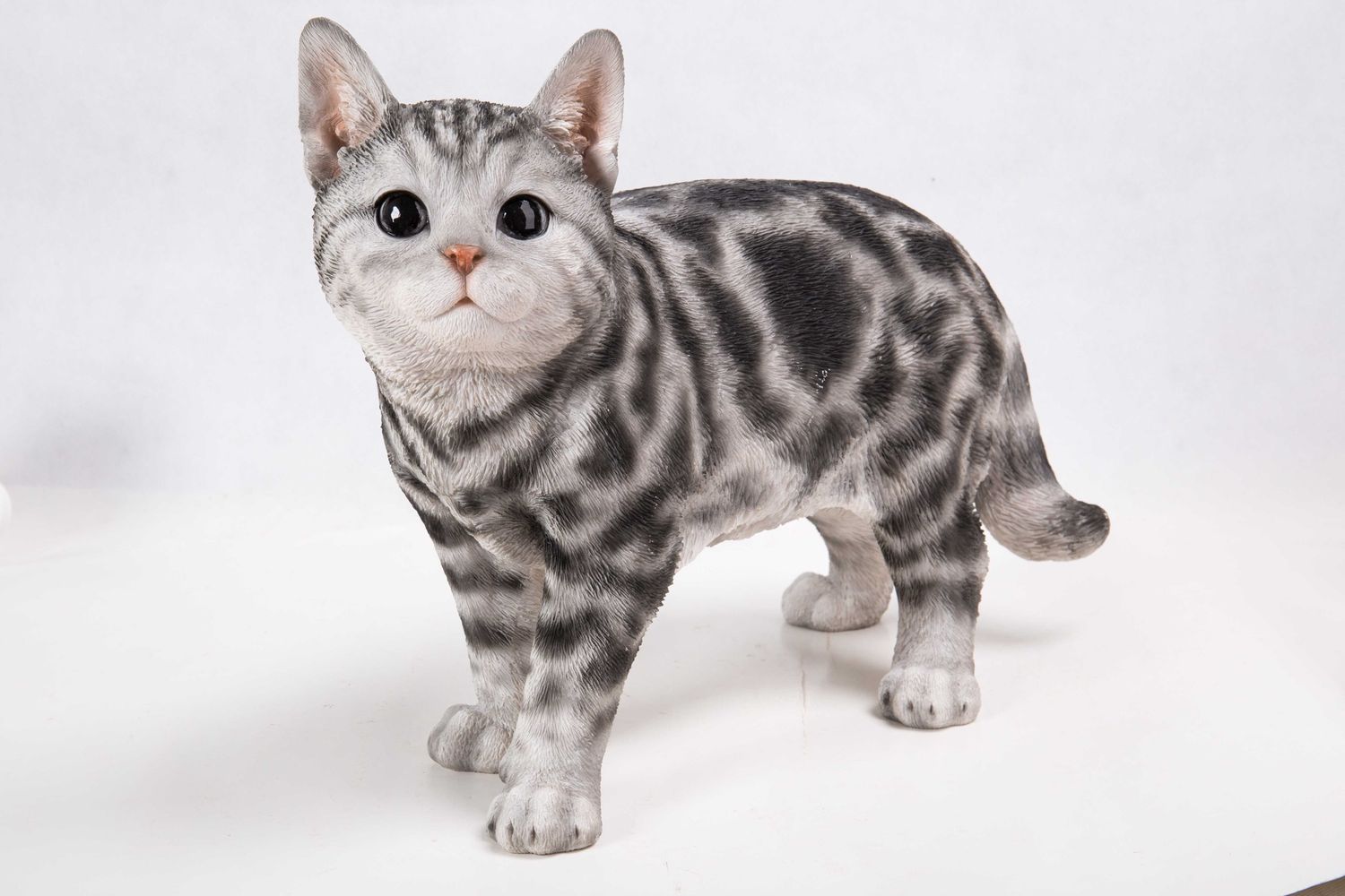 87757-H - AMERICAN SHORTHAIR STANDING / 11.5&quot; H