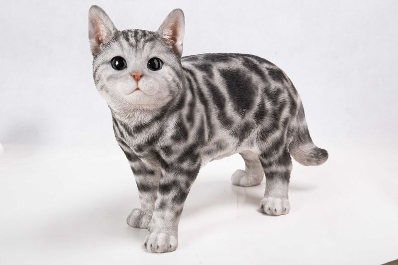 87757-H - AMERICAN SHORTHAIR STANDING / 11.5&quot; H
