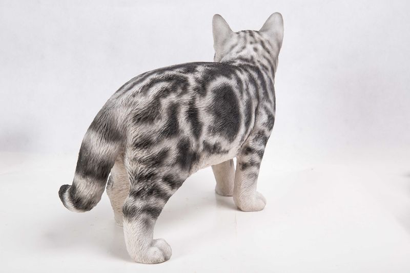 87757-H - AMERICAN SHORTHAIR STANDING / 11.5" H