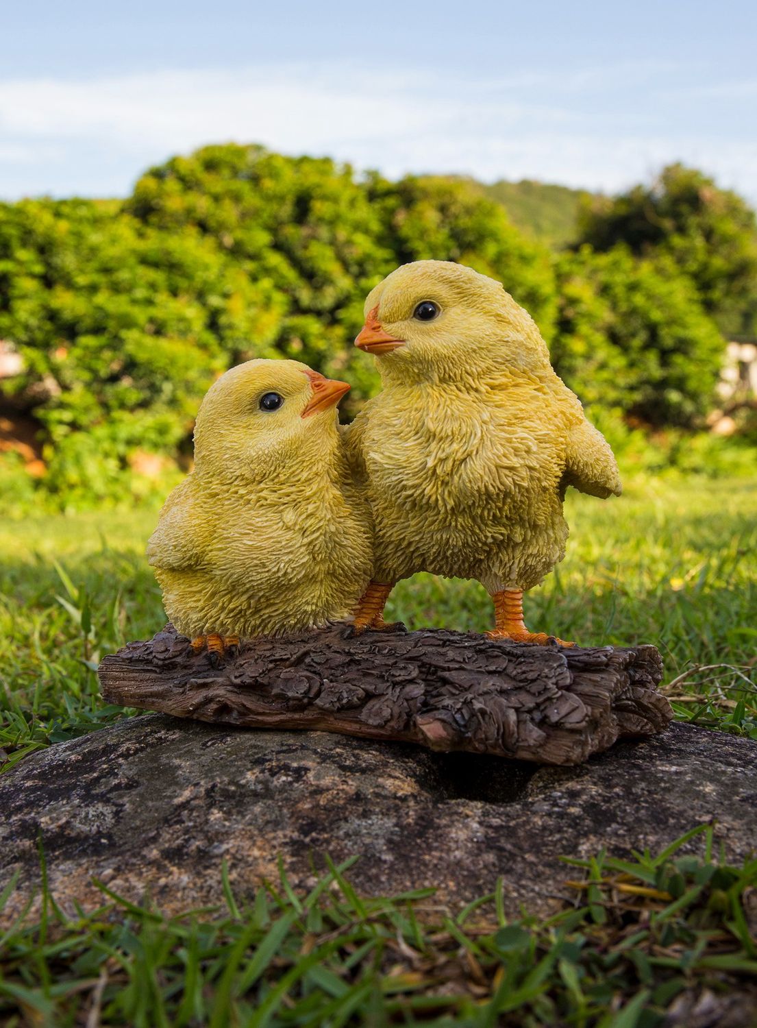 87736-D - PLAYFUL CHICKS