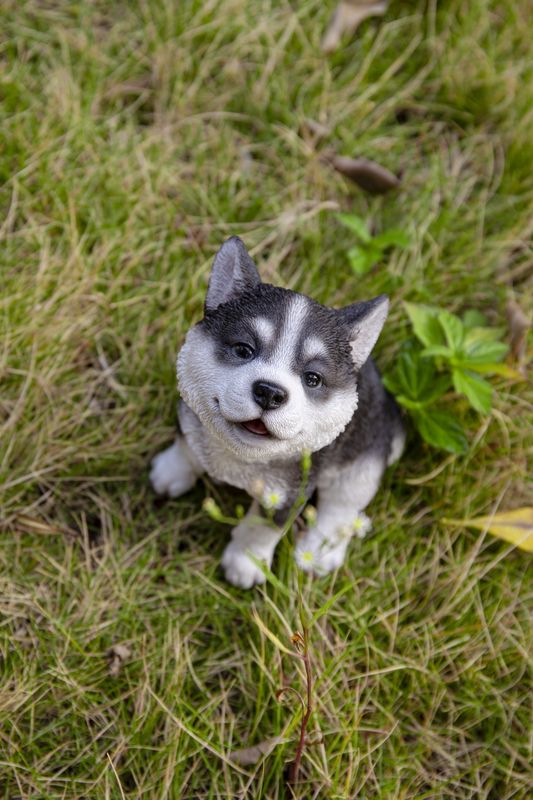 87703-H - HUSKY PUPPY HOWLING / 6.81" H
