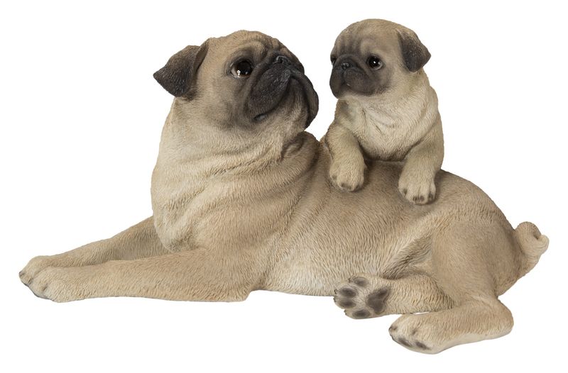 87638-F - MOTHER+BABY PUGS / 6.1&quot; H