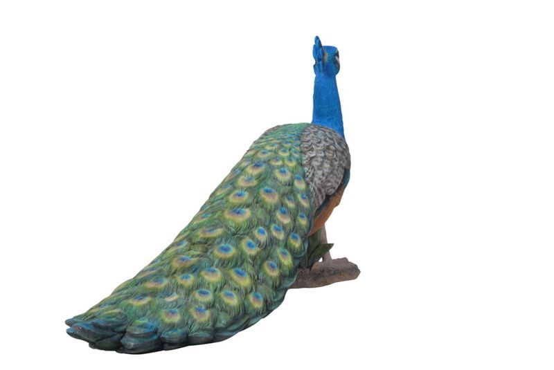87809-S - PEACOCK / 11.75" H