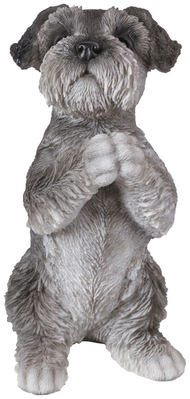 87703-J - PRAYING SCHNAUZER PUPPY STATUE / 8.35&quot; H