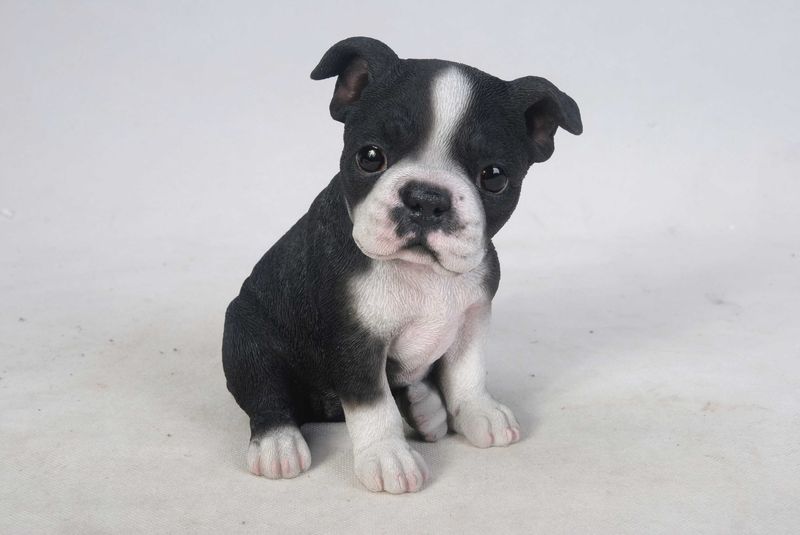 87771-10 - BOSTON TERRIER PUPPY / 6.5&quot; H