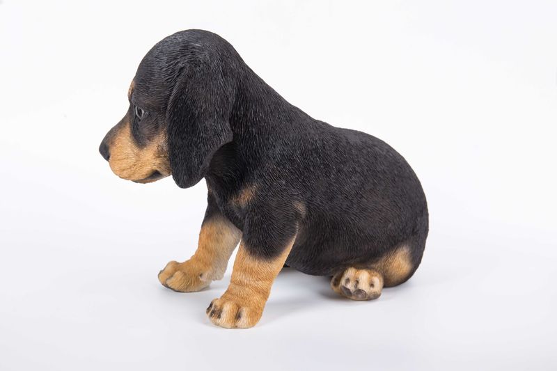 87771-11 - DACHSHUND PUPPY / 6" H