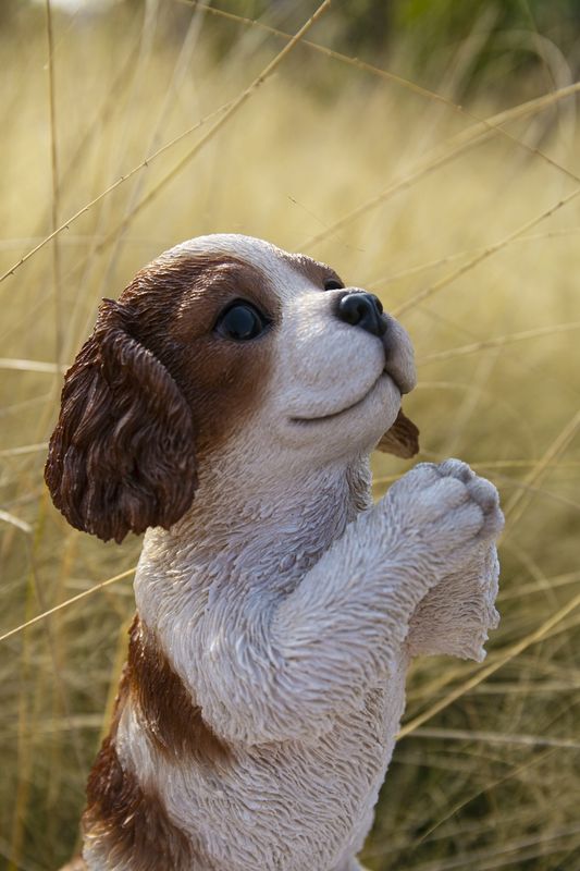 87703-M - BEGGING KING CHARLES PUPPY STATUE / 8.66" H