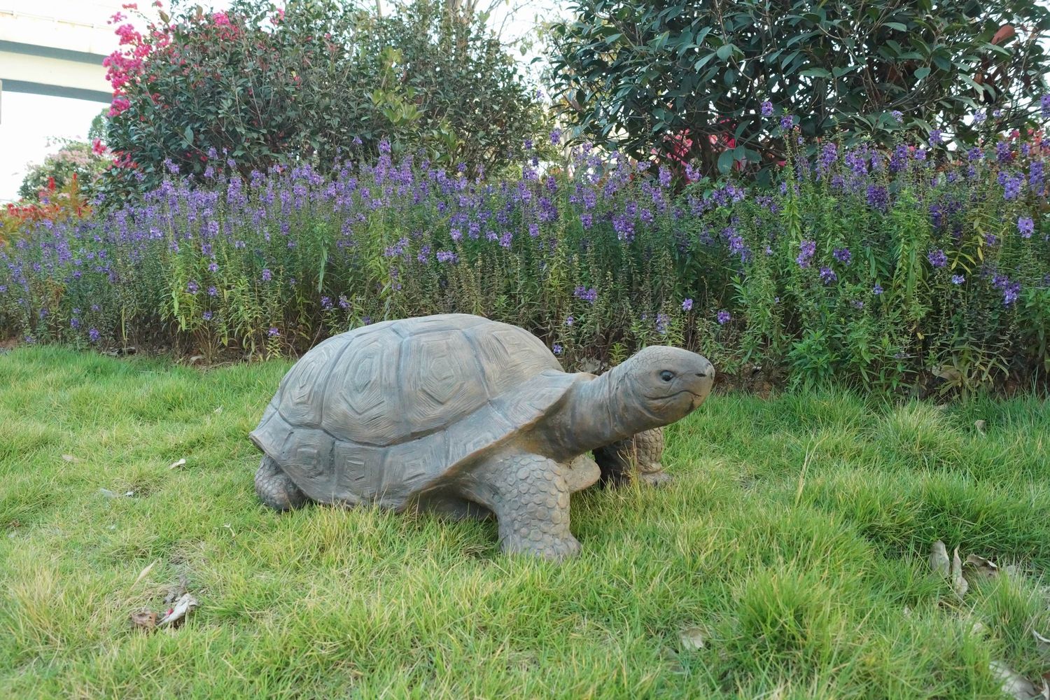 75629-B - TURTLE - LARGE / 11.5&quot; H