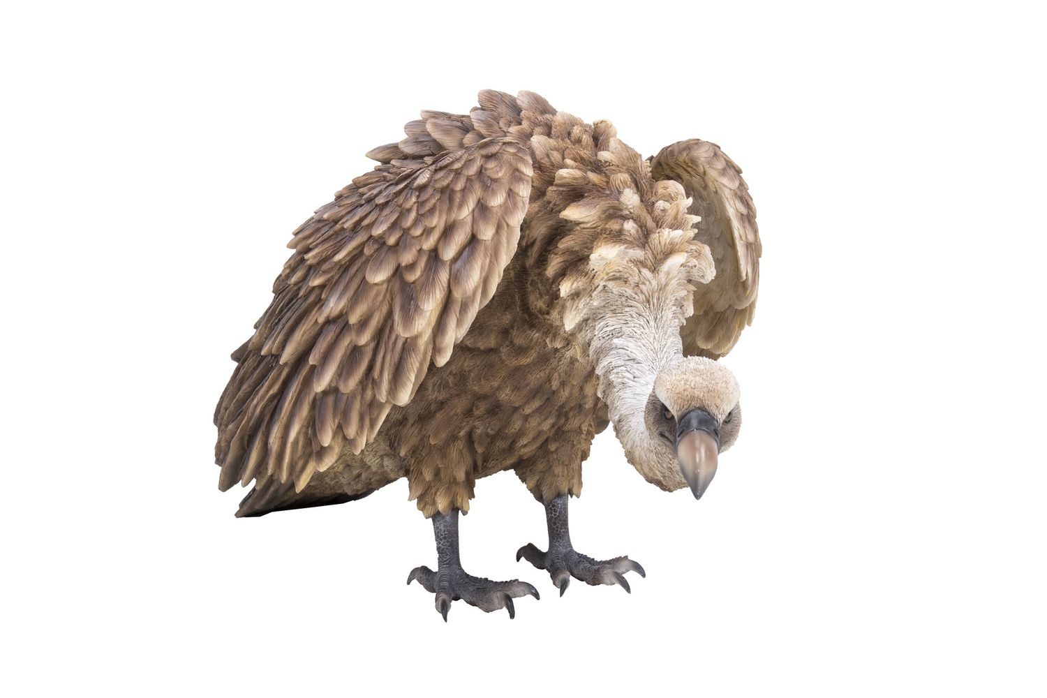 87670 - BALD EAGLE/VULTURE / 13.98&quot; H