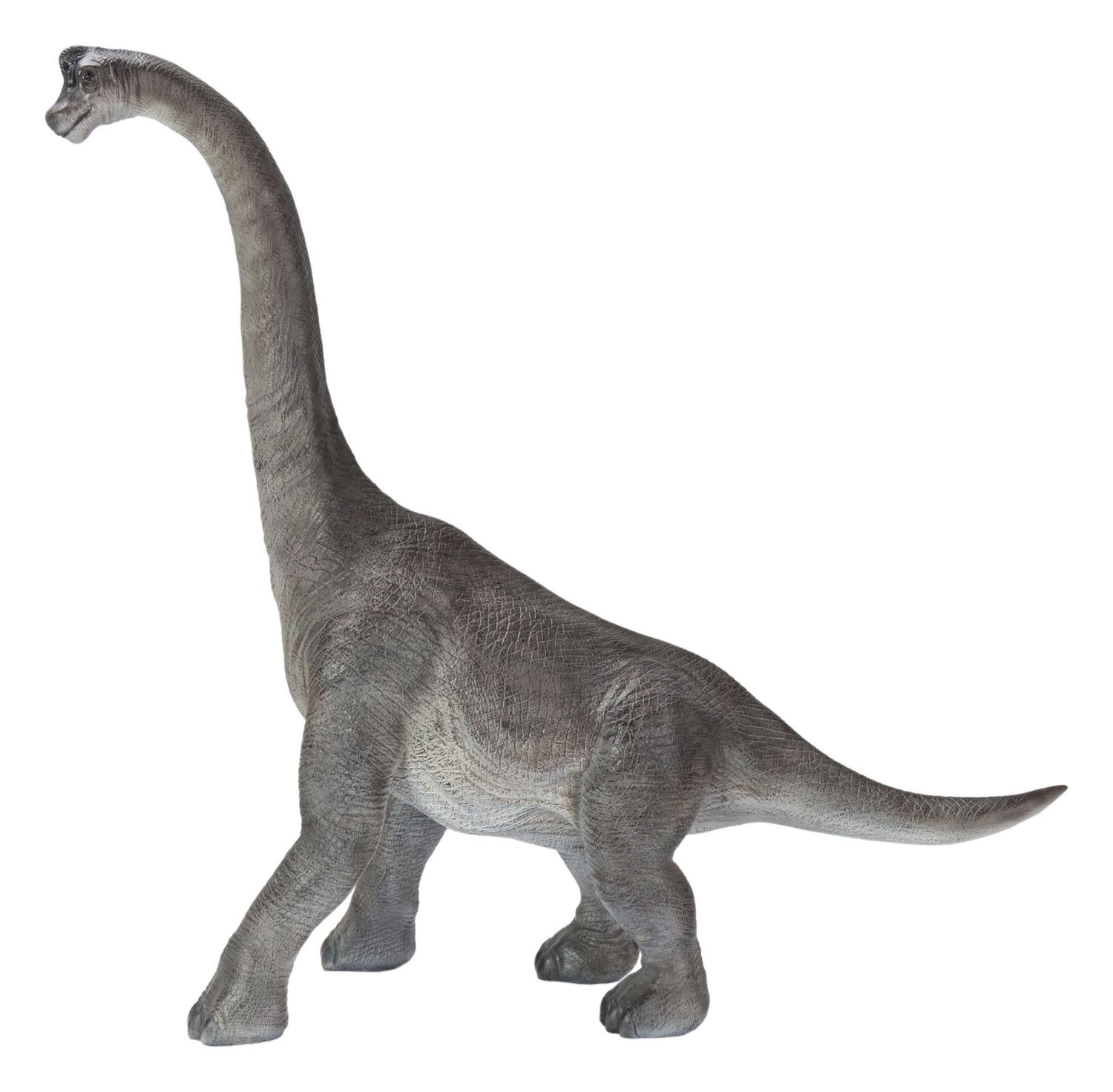 87821-A - DINOSAUR-BRACHIOSAURUS / 19.33&quot; H