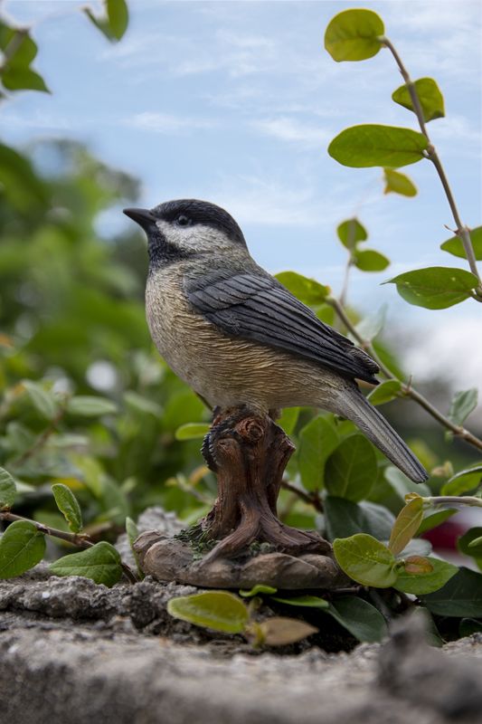87758-Q - CHICKADEE ON STUMP