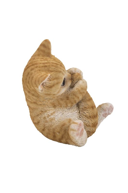 87757-Q - TABBY KITTEN PLAYING WITH TAIL / 7.01" H - ORANGE