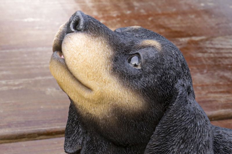87703-P - HOWLING DACHSHUND PUPPY STATUE / 6.18" H