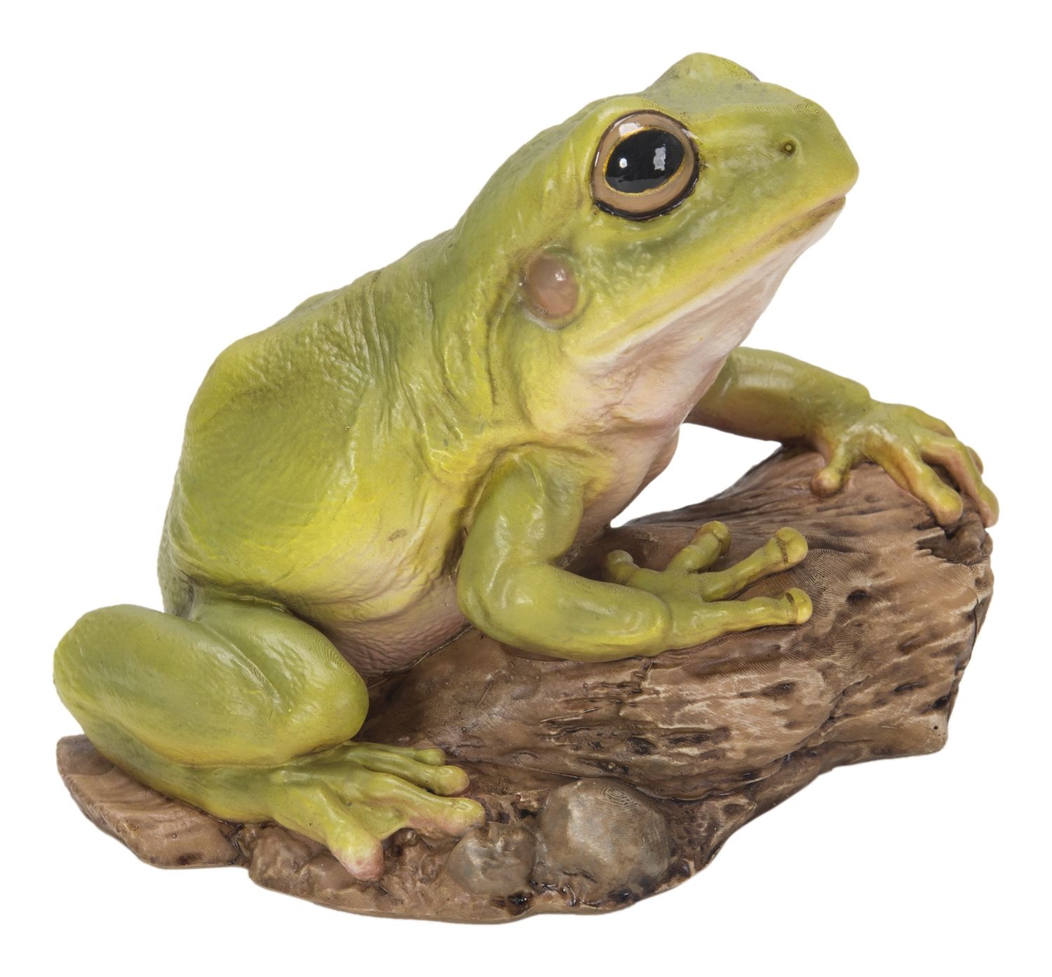 87822-C - WHITES TREE FROG / 3.86&quot; H