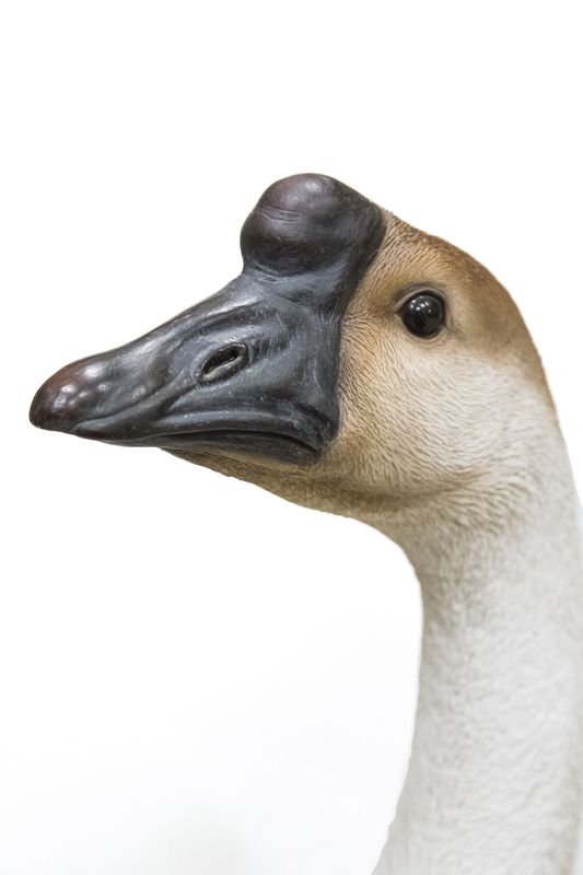 87691 - GOOSE / 25.59" H