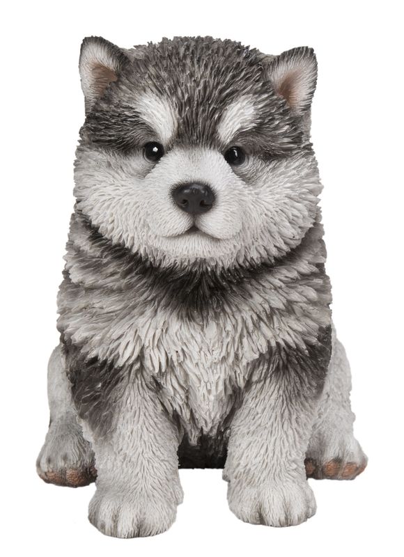 87771-16 - MALAMUTE PUPPY / 6.5&quot; H