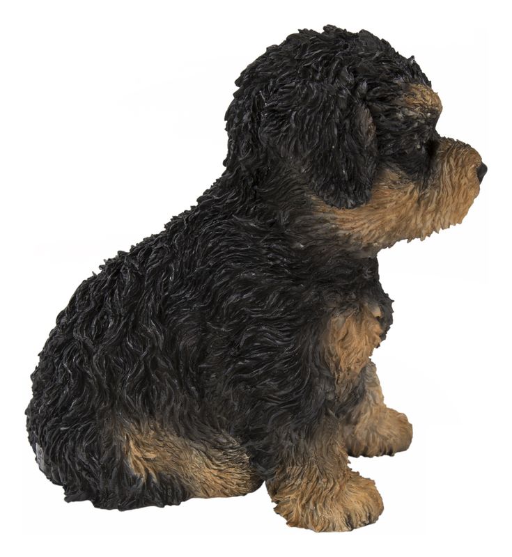 87771-18 - BABY CAVAPOO / 5.91" H