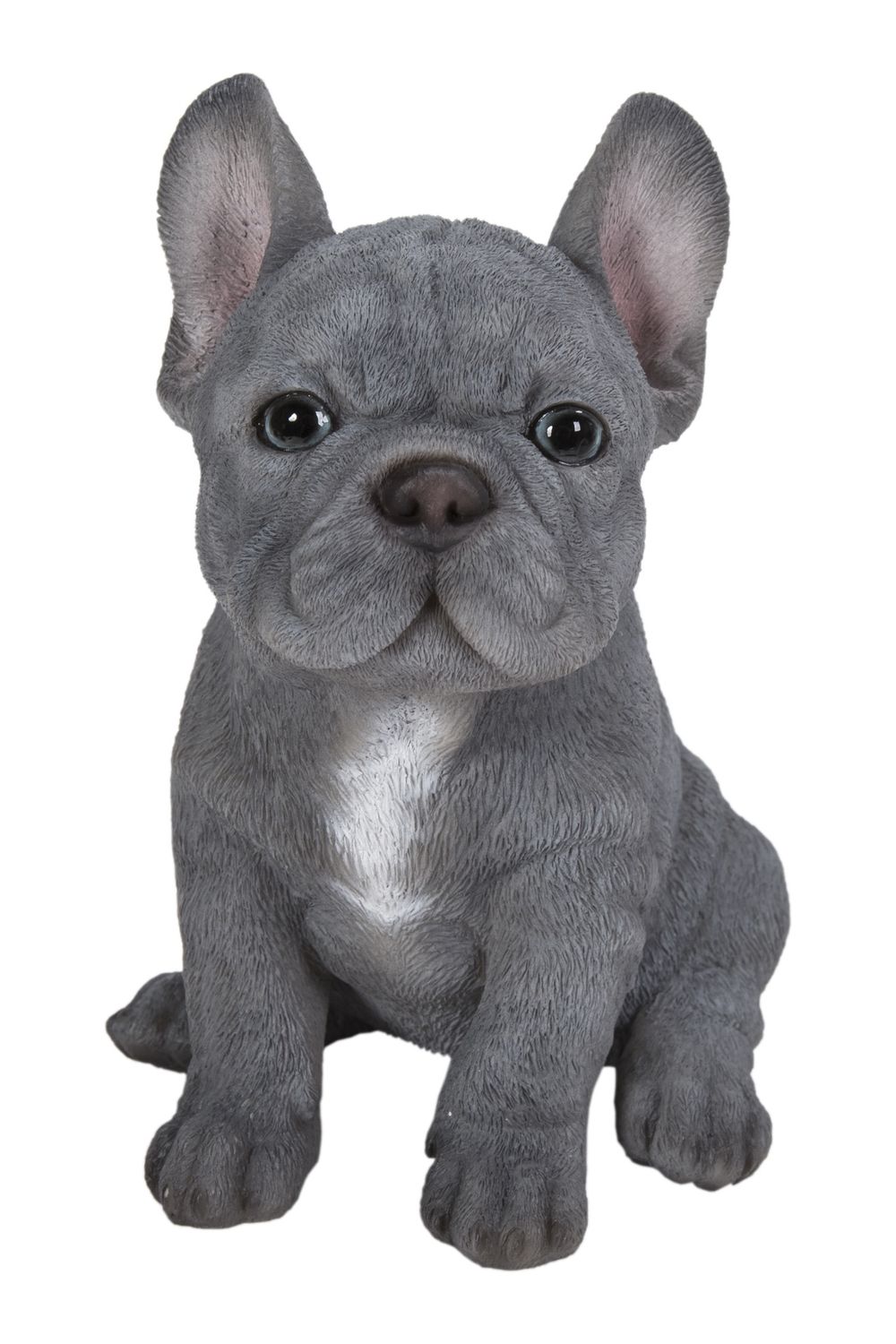 87771-17 - BLUE FRENCH BULLDOG PUPPY / 6.3&quot; H
