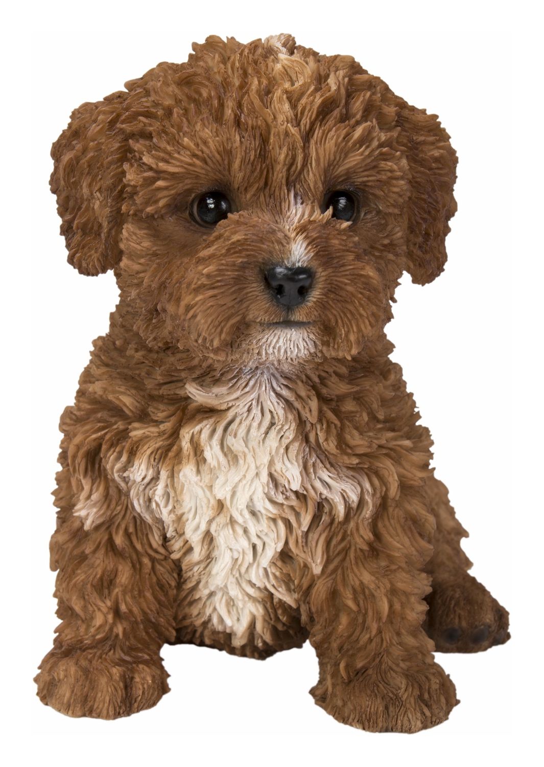 87771-19 - BABY CAVAPOO / 5.91&quot; H