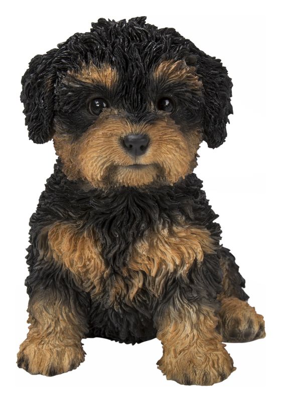 87771-18 - BABY CAVAPOO / 5.91&quot; H