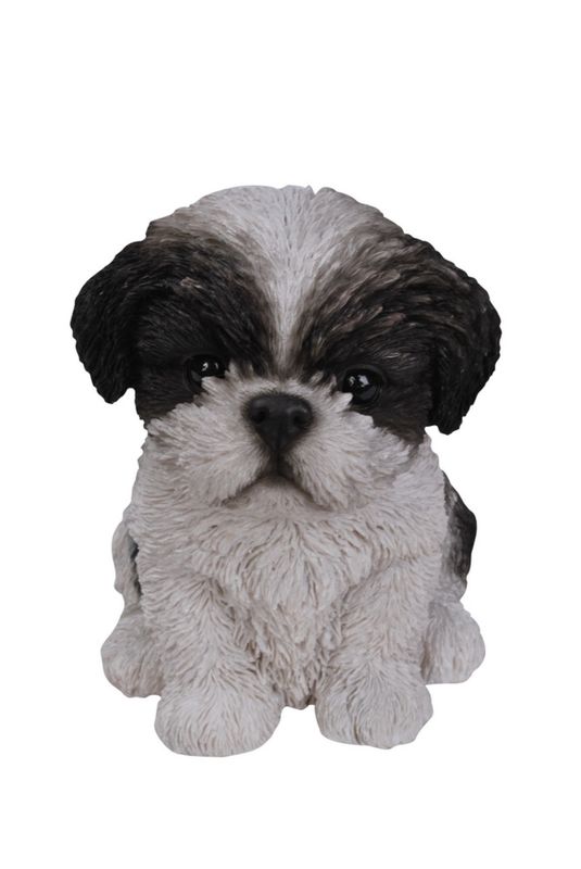 87771-B - SHIH TZU PUPPY / 6.5" H