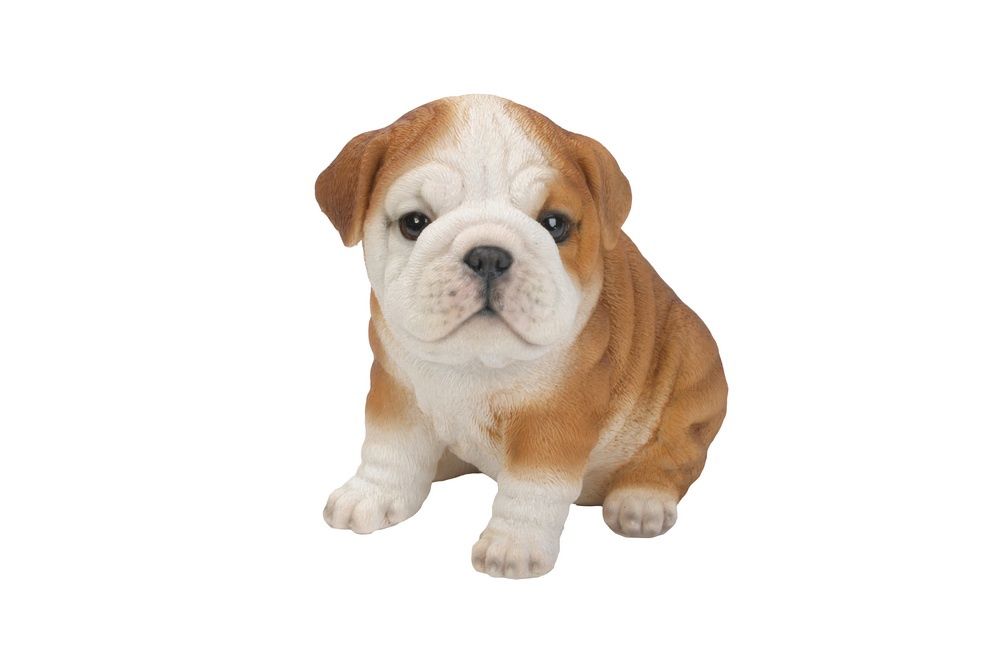 87771-D - BULLDOG PUPPY / 6.5&quot; H