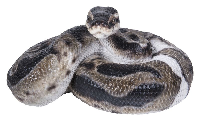 87680-B - PYTHON REGIUS / 3.86&quot; H