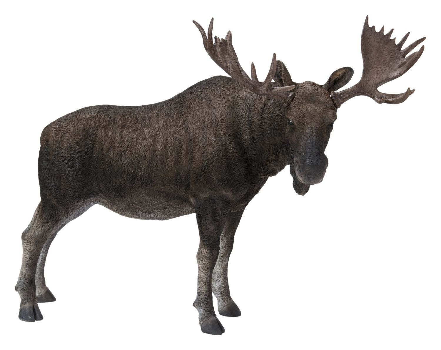 87659-A - STANDING MOOSE / 18.9&quot; H
