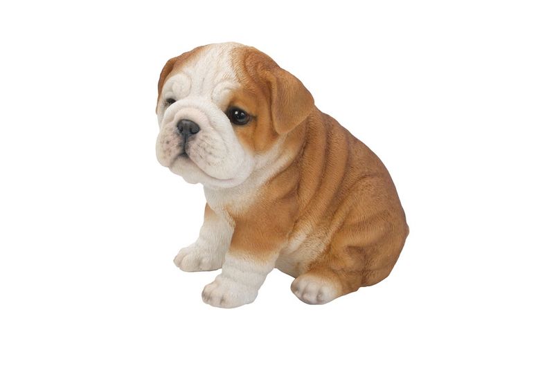 87771-D - BULLDOG PUPPY / 6.5" H