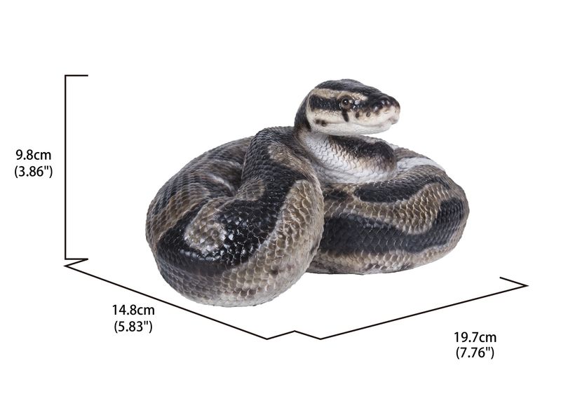 87680-B - PYTHON REGIUS / 3.86" H