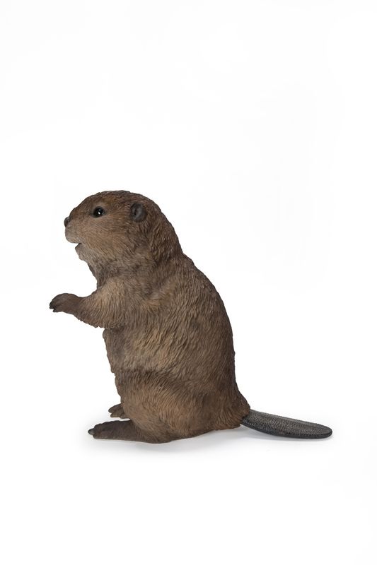 87666-C - AMERICAN BEAVER CUB STANDING / 8.19" H