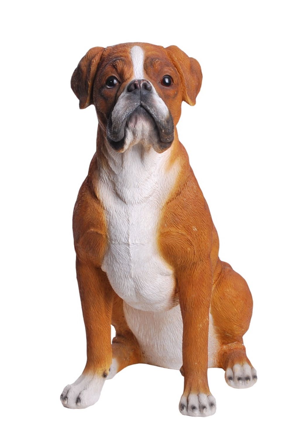 87748 - BOXER SITTING / 18.5&quot; H