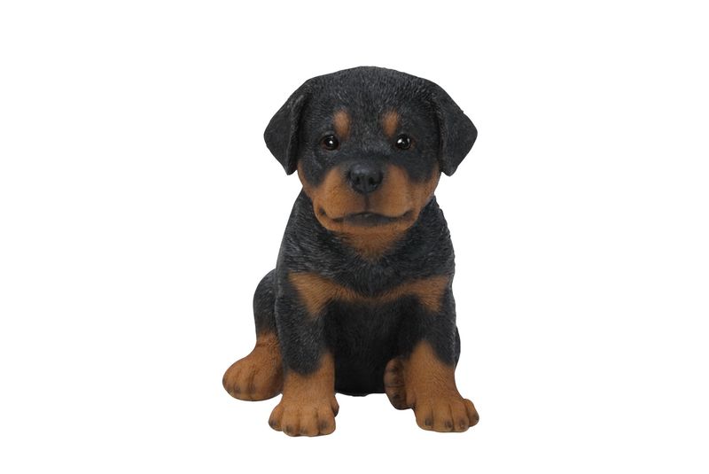87771-I - ROTTWEILER PUPPY / 6.5" H