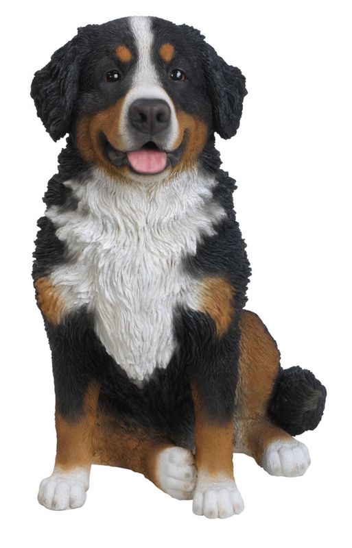 87750 - BERNESE MOUNTAIN DOG / 21.5&quot; H