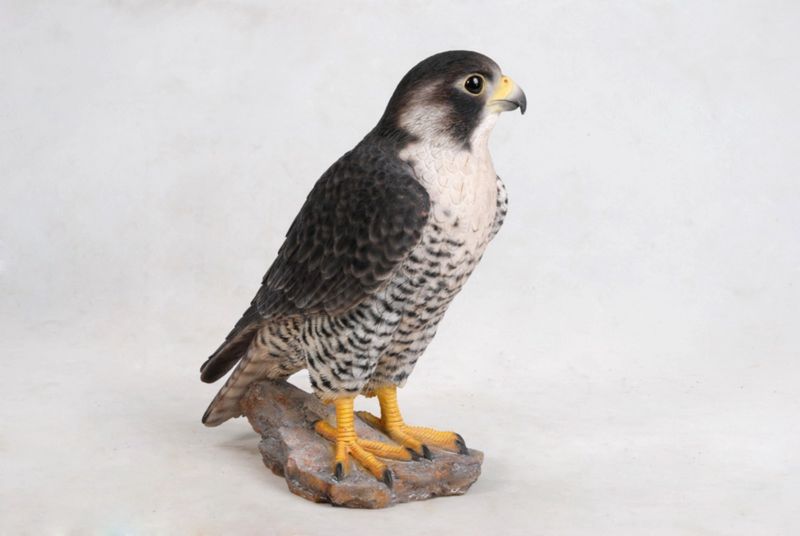 87755 - PEREGRINE FALCON / 10.25&quot; H