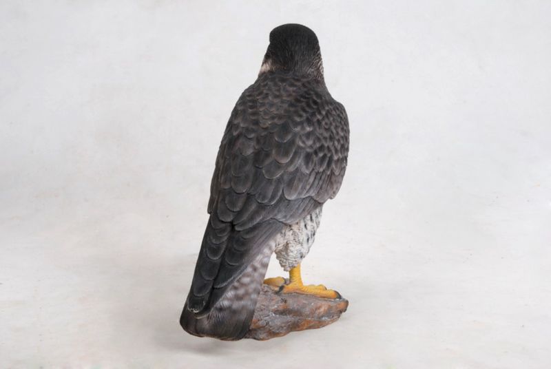 87755 - PEREGRINE FALCON / 10.25" H