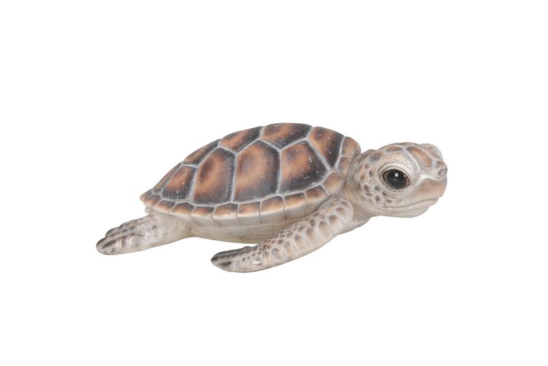 87683-B - SEA TURTLE  / 2.24&quot; H