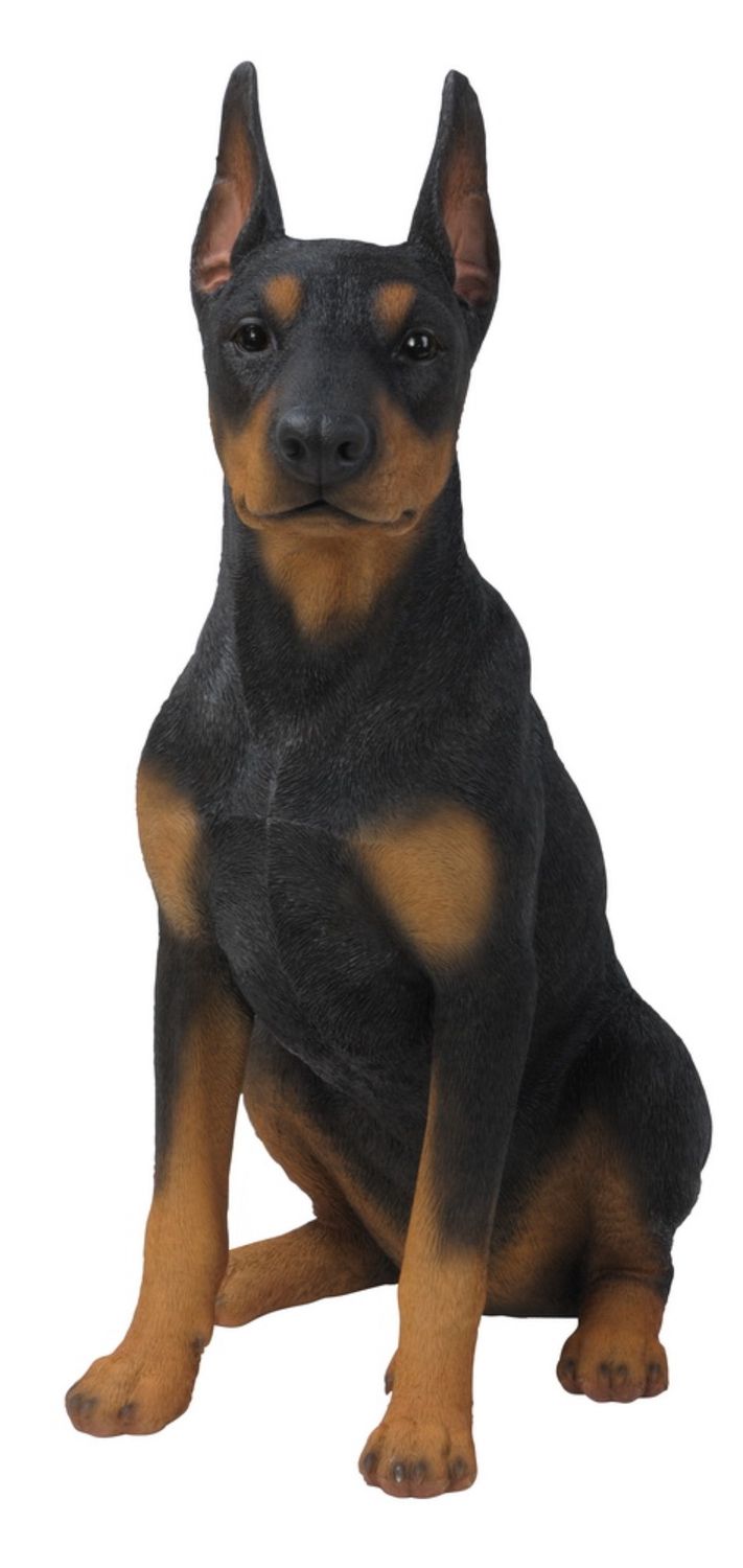 87751 - DOBERMAN PINSCHER SITTING / 24&quot; H