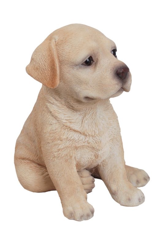 87771-Q - LABRADOR PUPPY SITTING / 6.5" H