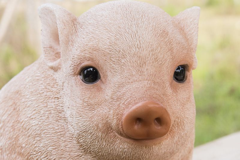 87685-B - CHUBBY PIGLET SITTING - PINK / 4.57&quot; H