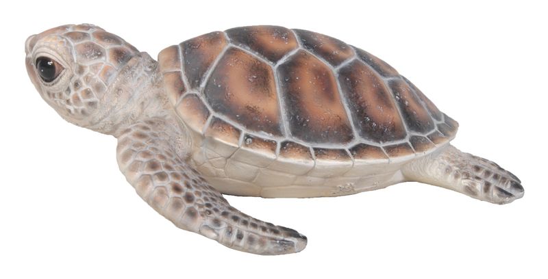 87683-B - SEA TURTLE  / 2.24" H