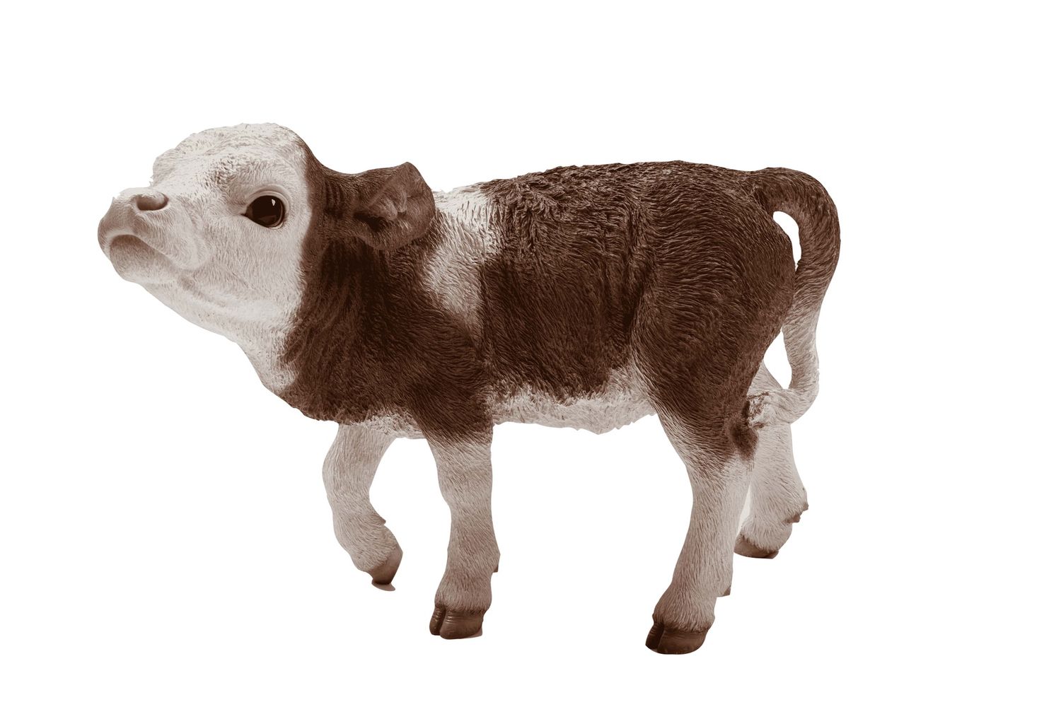 87705-A - CALF STANDING / 16.75&quot; H