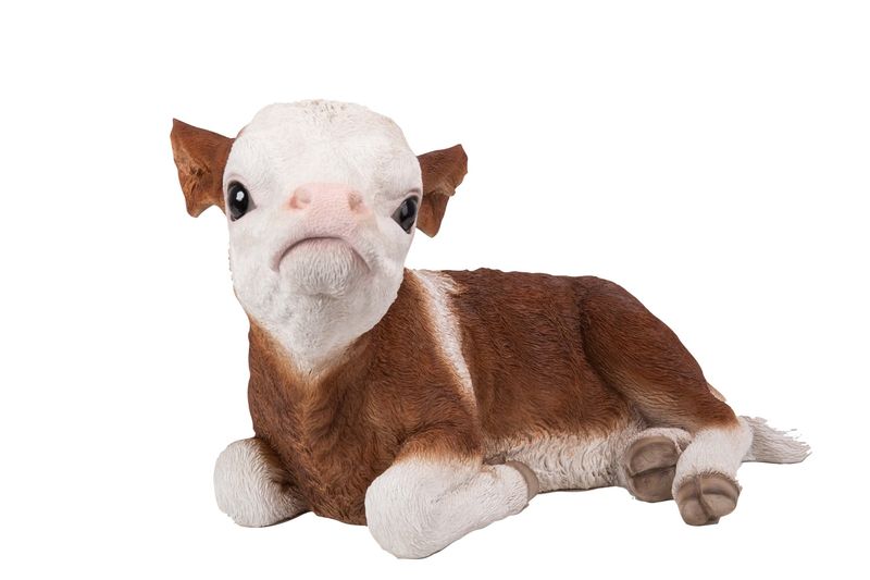 87705-B - CALF LAYING DOWN / 11.5&quot; H
