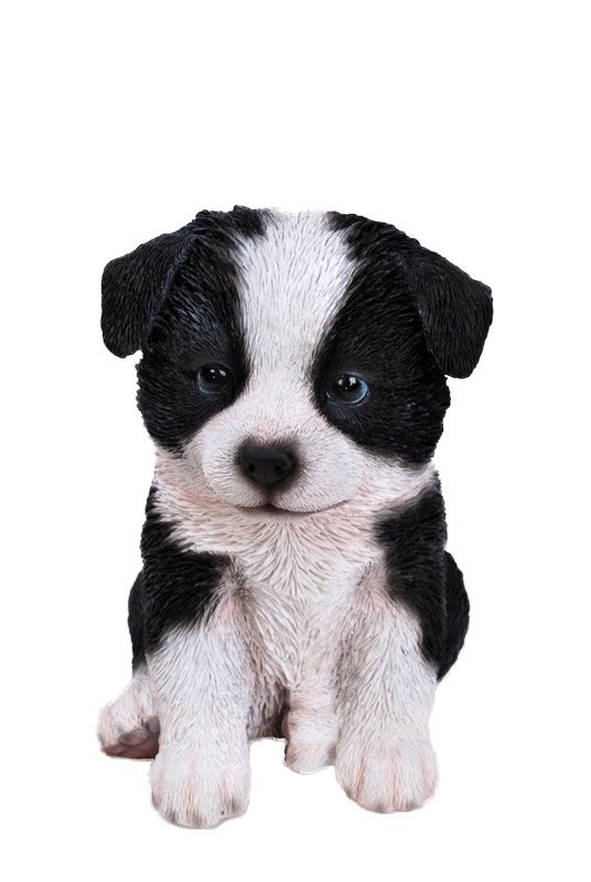 87771-O - BORDER COLLIE PUPPY / 6.75&quot; H