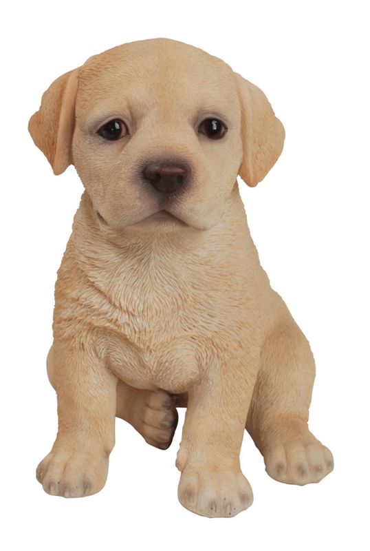 87771-Q - LABRADOR PUPPY SITTING / 6.5&quot; H