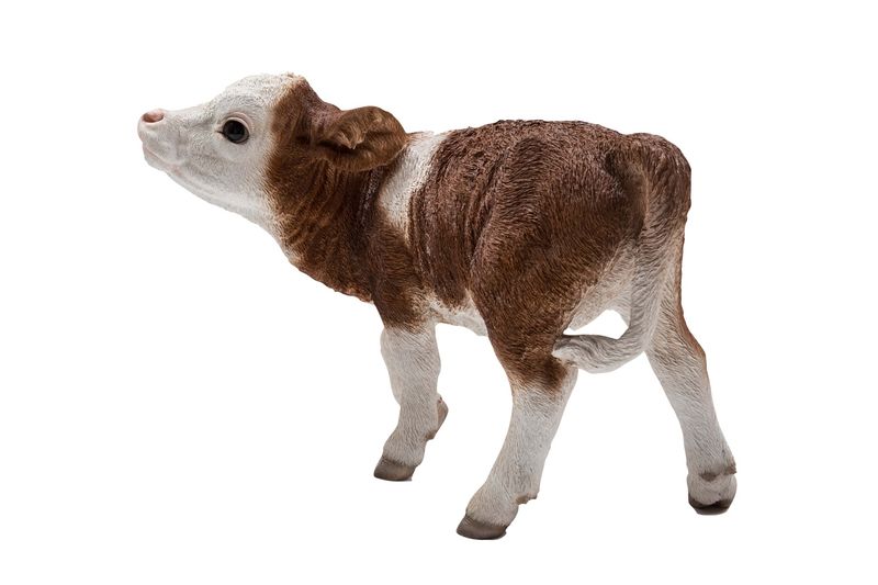 87705-A - CALF STANDING / 16.75" H