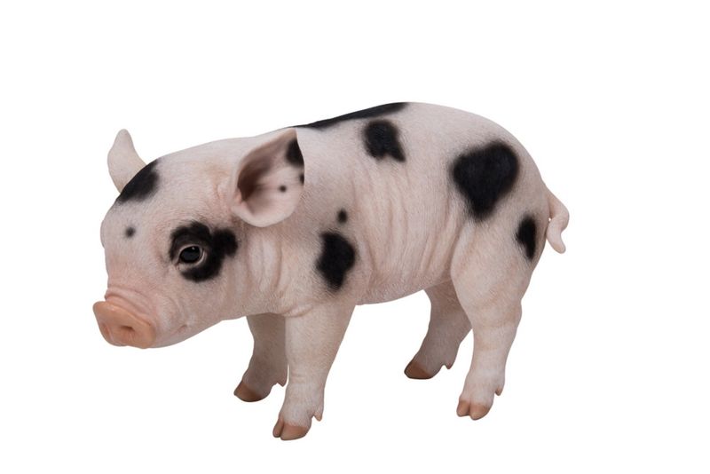 87726-B - BABY PIG STANDING BLACK SPOTS / 9" H