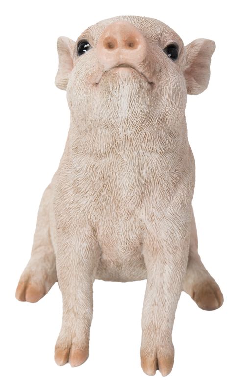 87726-C - PIG / 6.3&quot; H - PINK