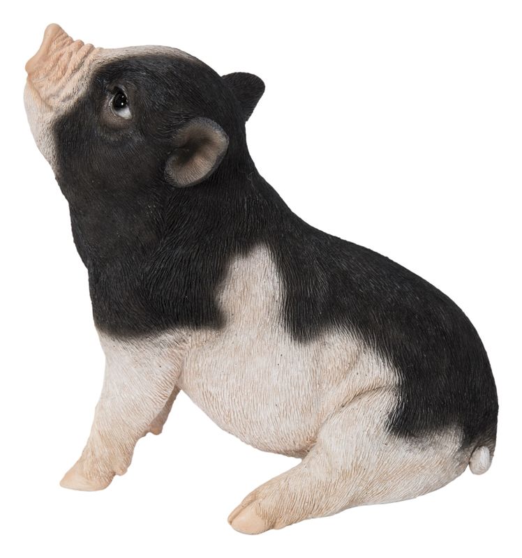 87726-D - PIG / 6.3" H - BLACK/PINK