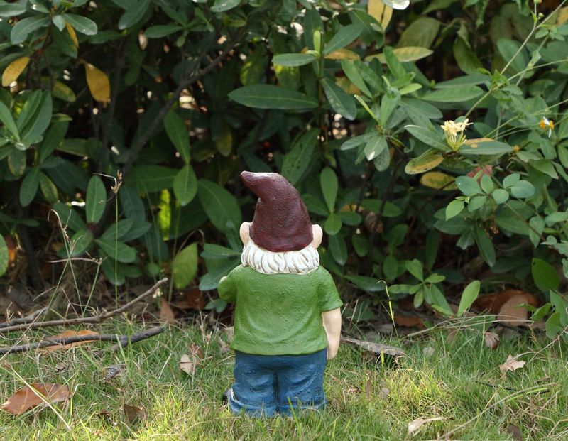 75616-V - GNOME W/CANADIAN FLAG SMOKING WEED / 9.75" H